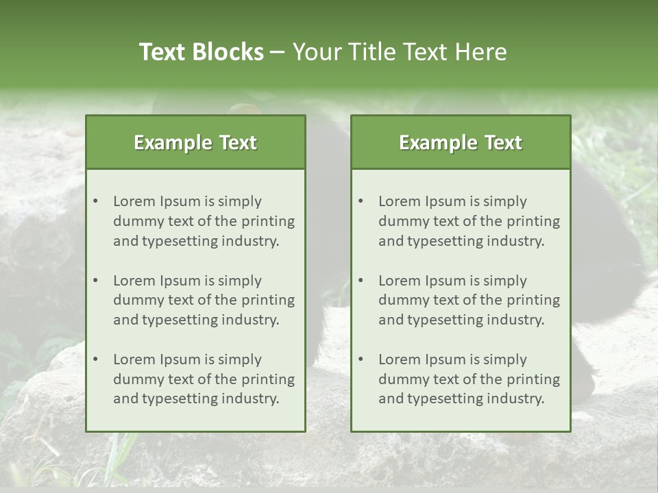 Primate Black Stone PowerPoint Template