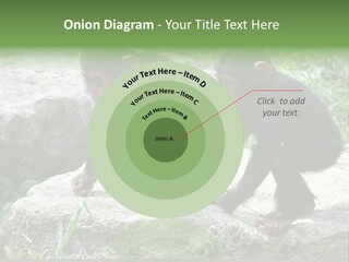 Primate Black Stone PowerPoint Template