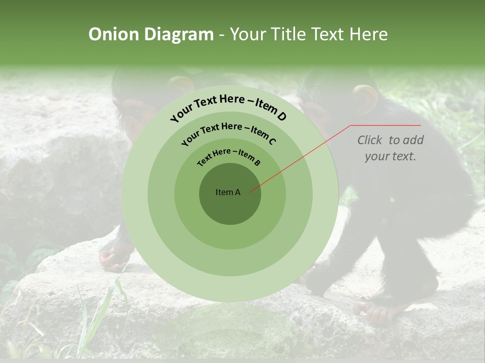 Primate Black Stone PowerPoint Template