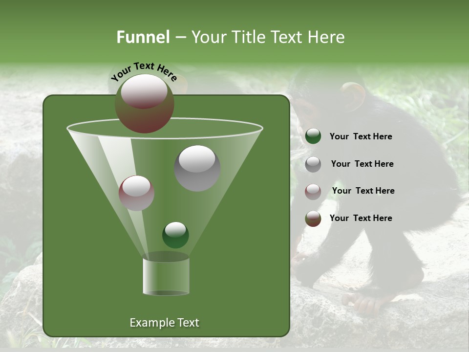Primate Black Stone PowerPoint Template