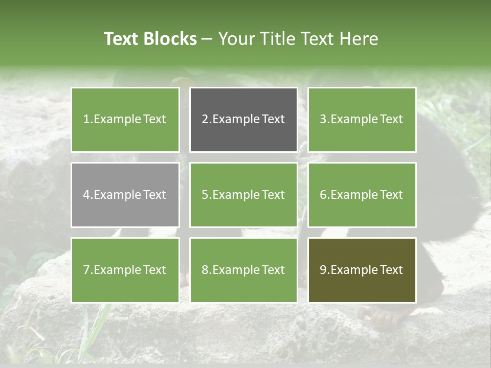 Primate Black Stone PowerPoint Template