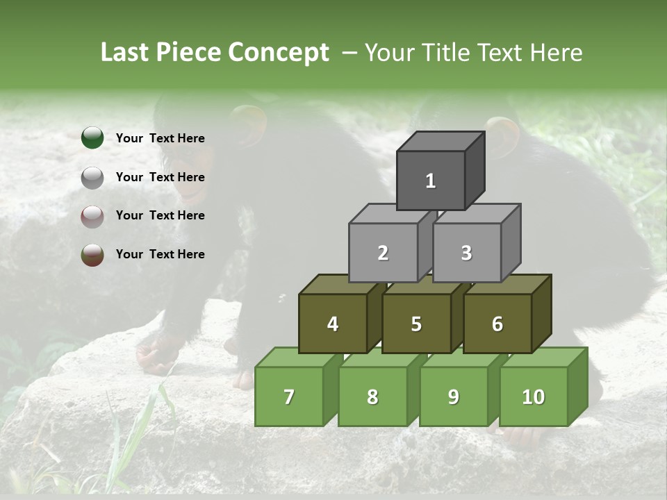 Primate Black Stone PowerPoint Template