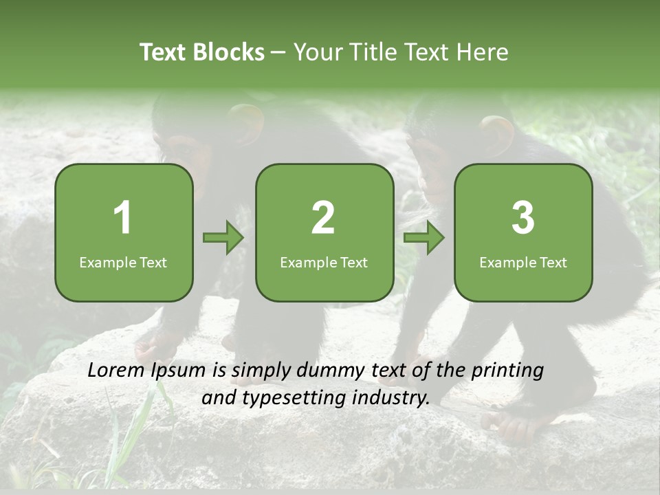 Primate Black Stone PowerPoint Template