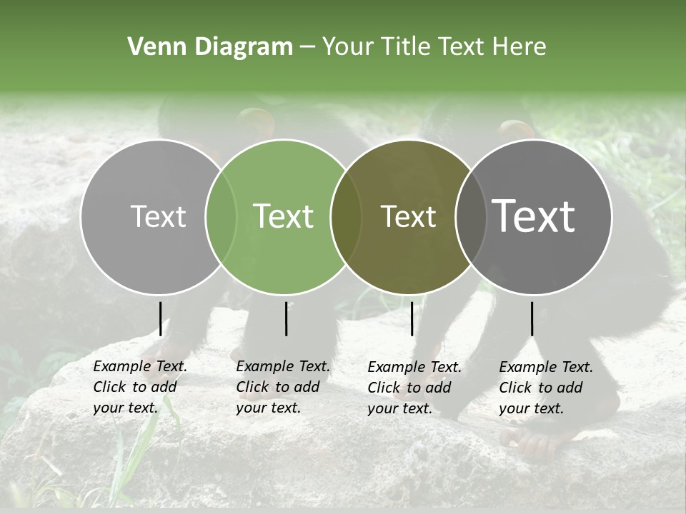 Primate Black Stone PowerPoint Template