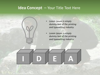 Primate Black Stone PowerPoint Template