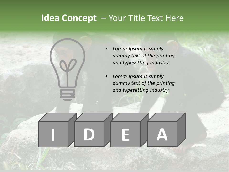 Primate Black Stone PowerPoint Template
