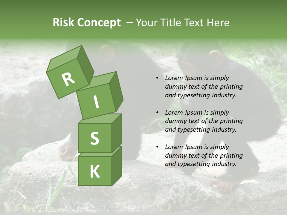 Primate Black Stone PowerPoint Template
