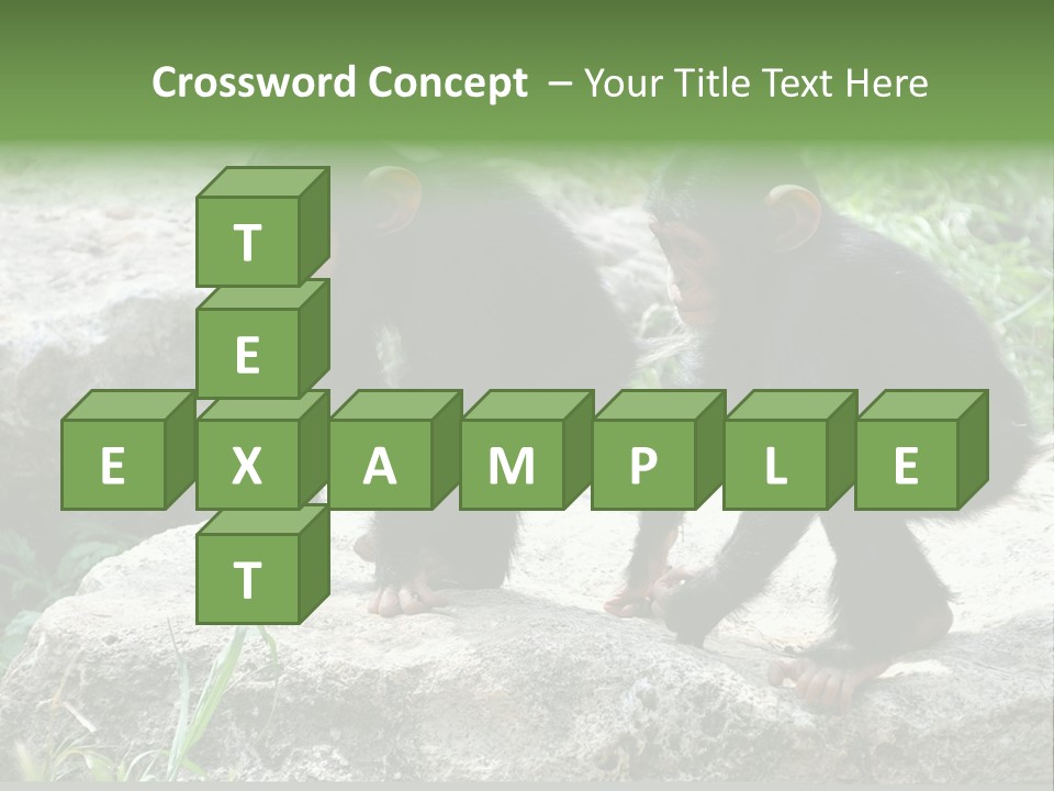 Primate Black Stone PowerPoint Template