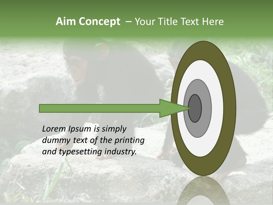 Primate Black Stone PowerPoint Template