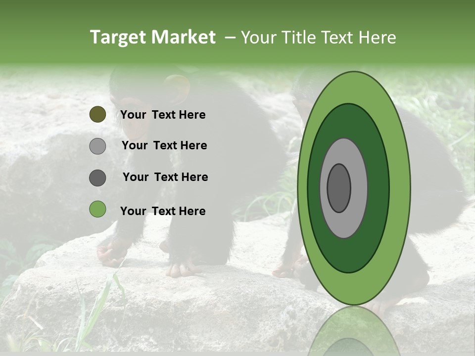 Primate Black Stone PowerPoint Template