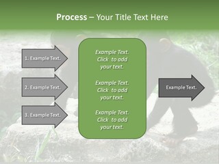 Primate Black Stone PowerPoint Template