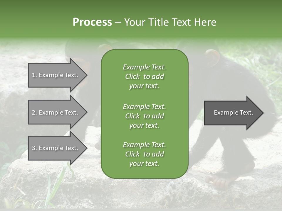 Primate Black Stone PowerPoint Template