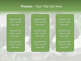 Primate Black Stone PowerPoint Template