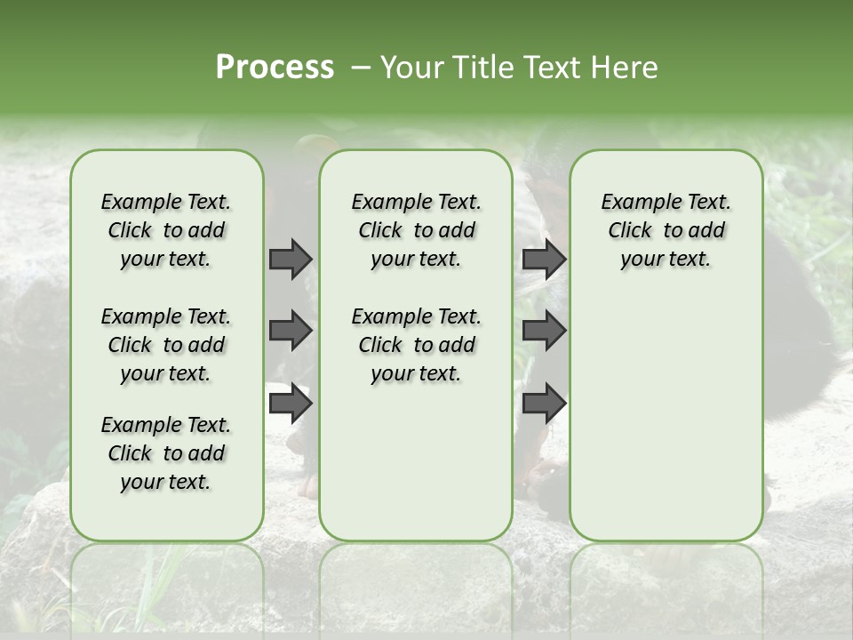 Primate Black Stone PowerPoint Template