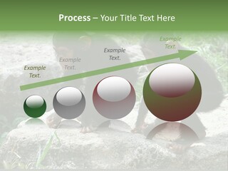 Primate Black Stone PowerPoint Template