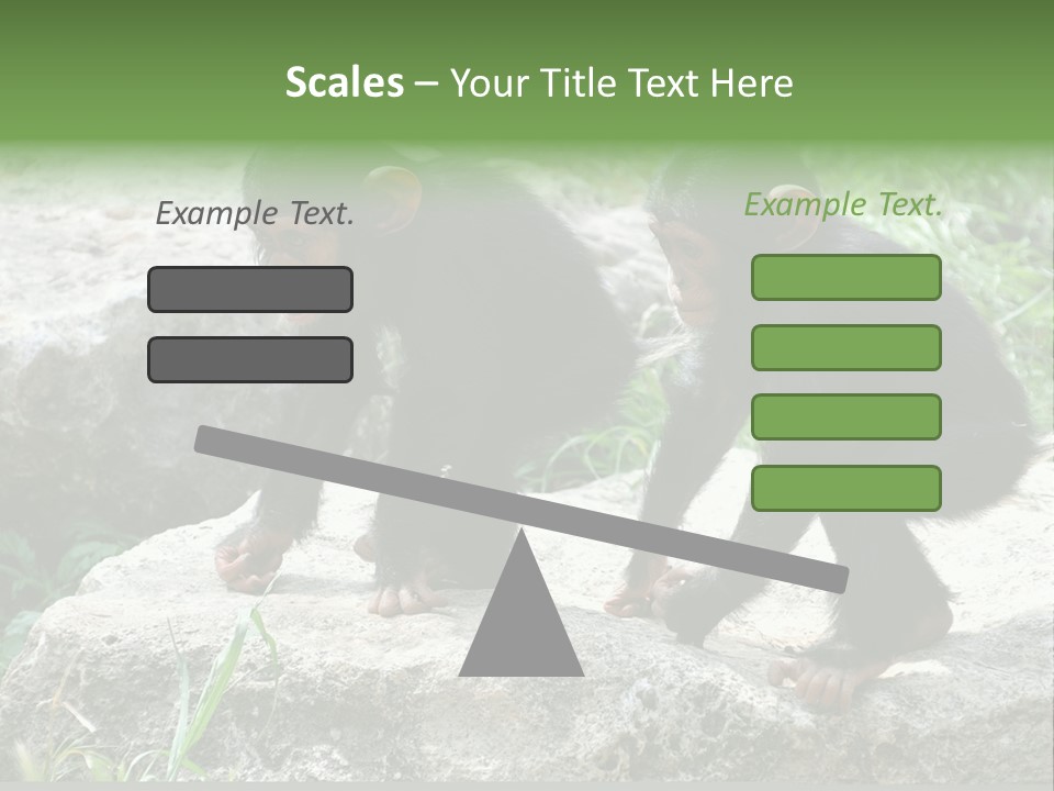 Primate Black Stone PowerPoint Template