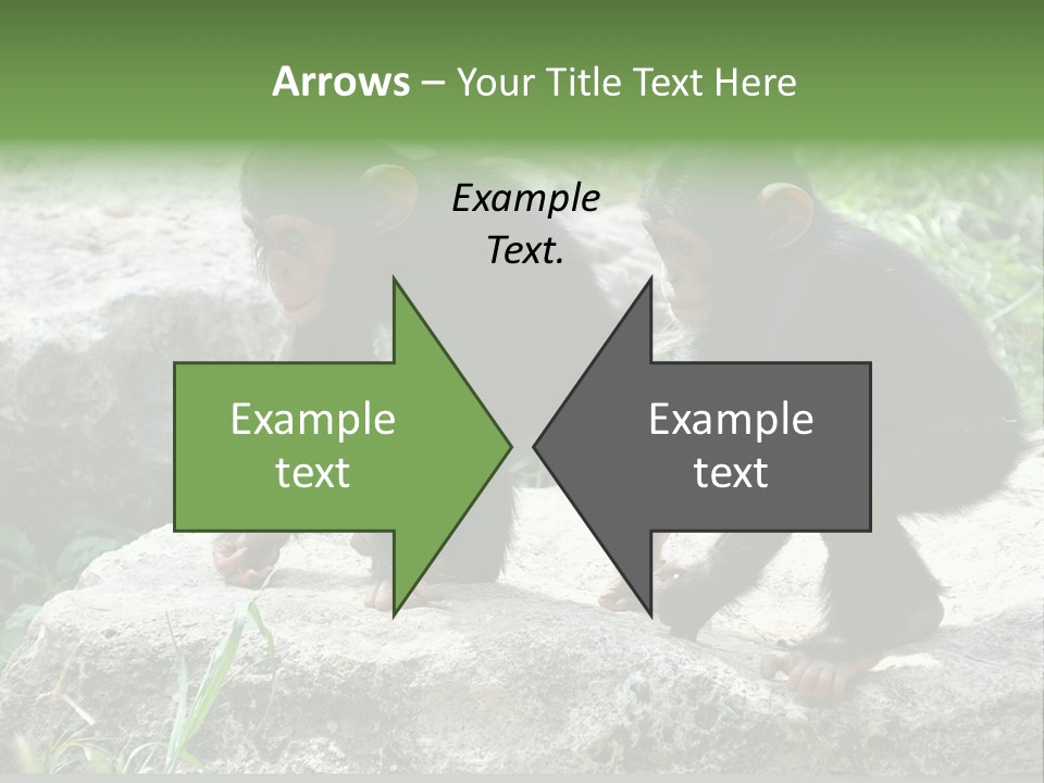 Primate Black Stone PowerPoint Template