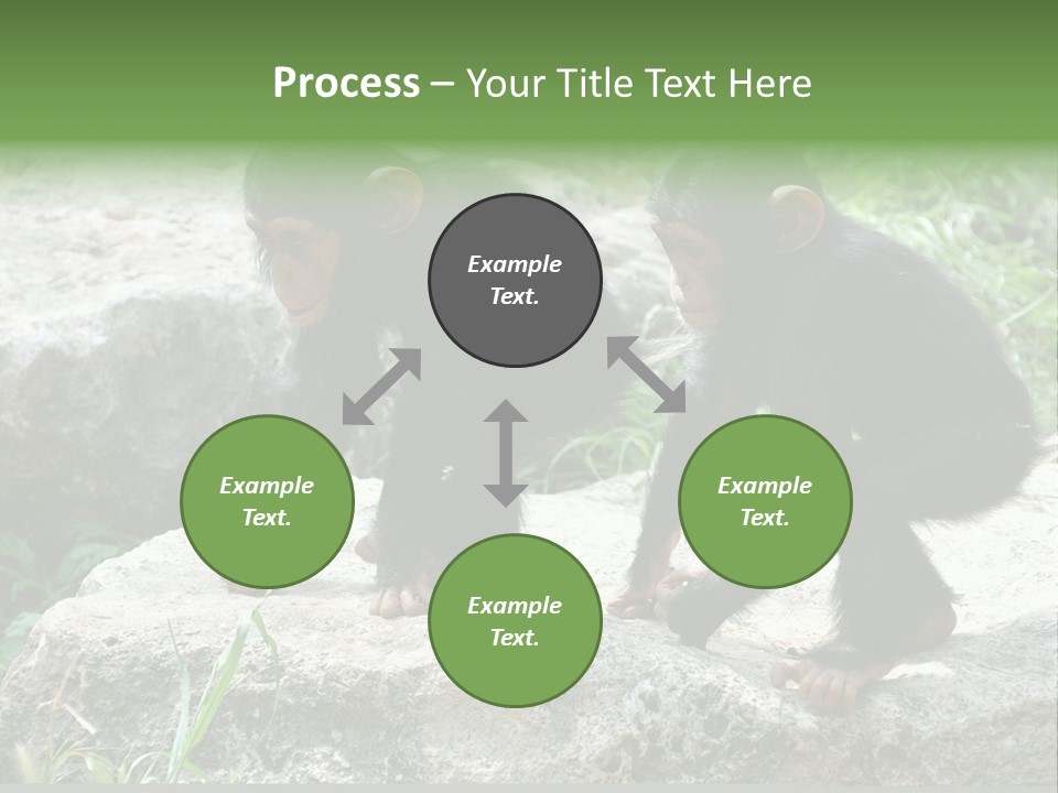 Primate Black Stone PowerPoint Template