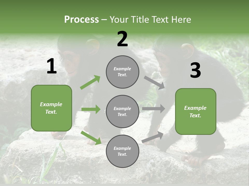 Primate Black Stone PowerPoint Template