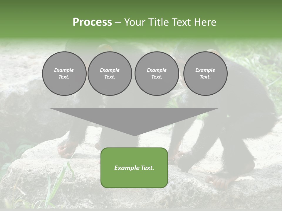 Primate Black Stone PowerPoint Template