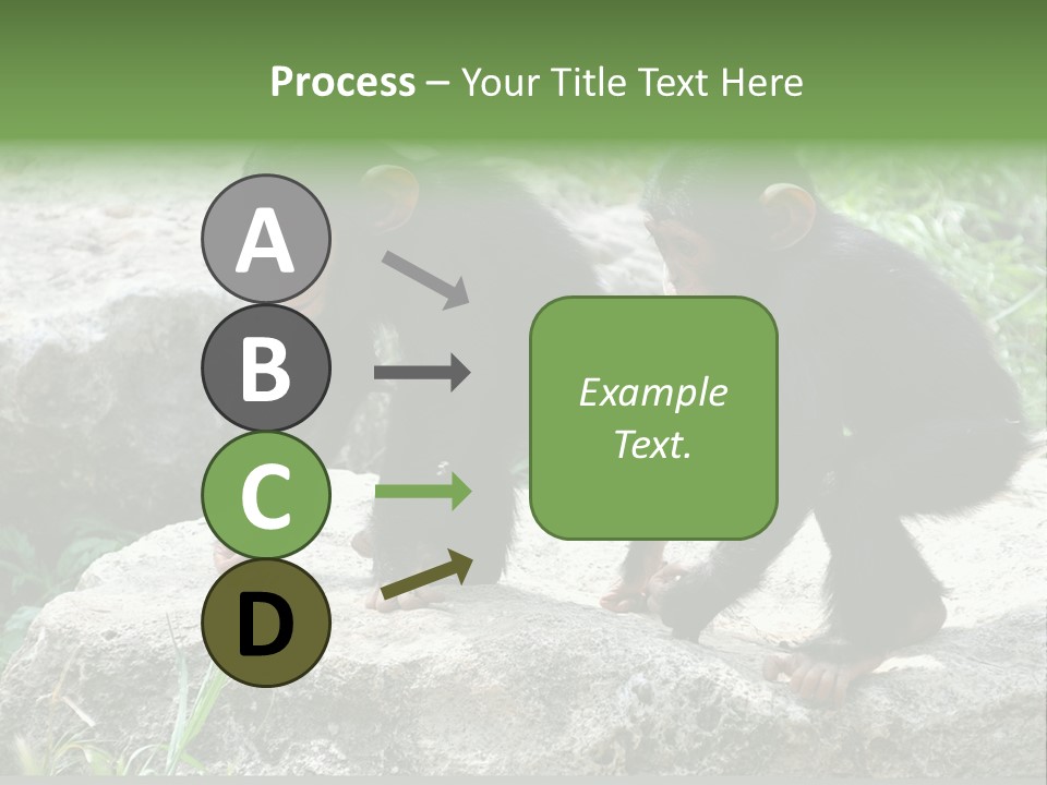 Primate Black Stone PowerPoint Template