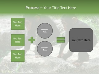 Primate Black Stone PowerPoint Template