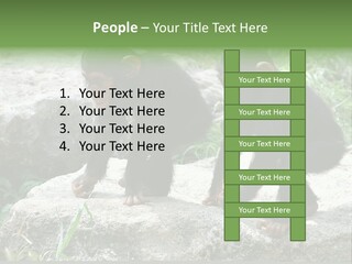 Primate Black Stone PowerPoint Template