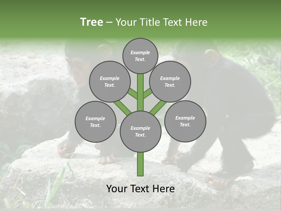 Primate Black Stone PowerPoint Template