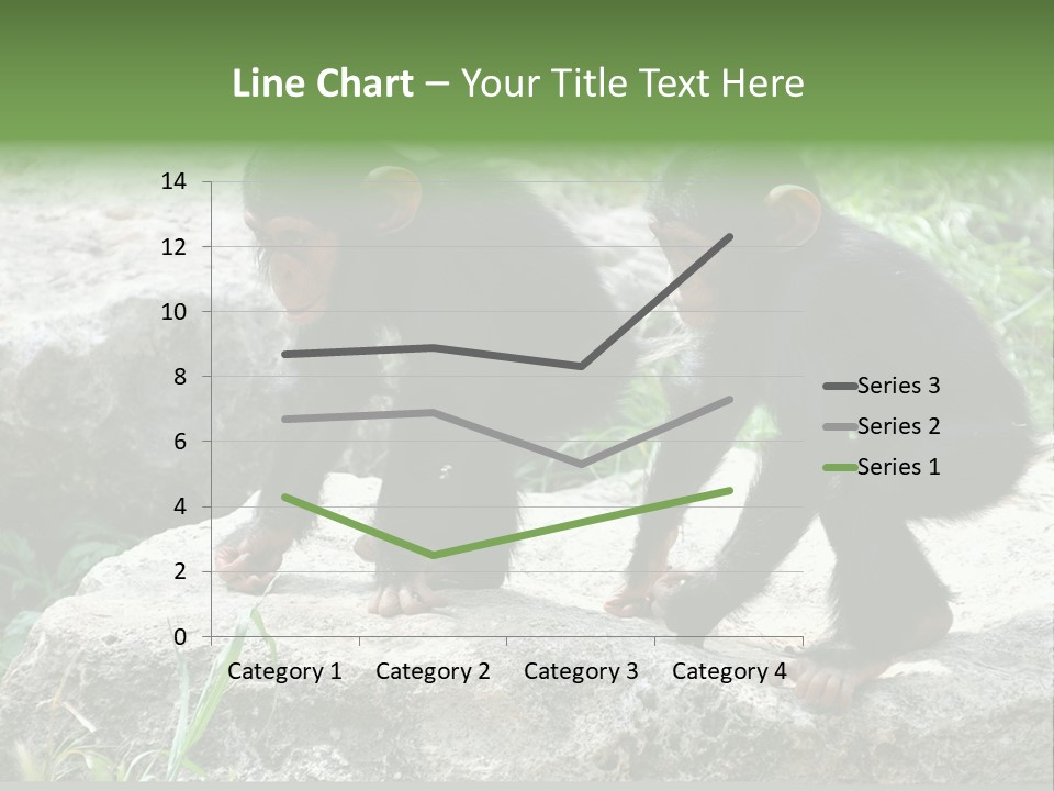 Primate Black Stone PowerPoint Template
