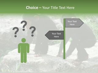 Primate Black Stone PowerPoint Template