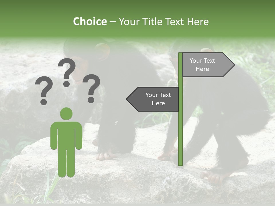 Primate Black Stone PowerPoint Template