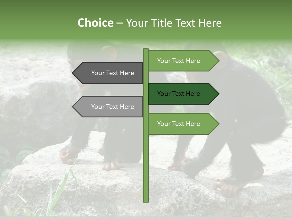 Primate Black Stone PowerPoint Template