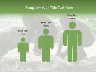 Primate Black Stone PowerPoint Template