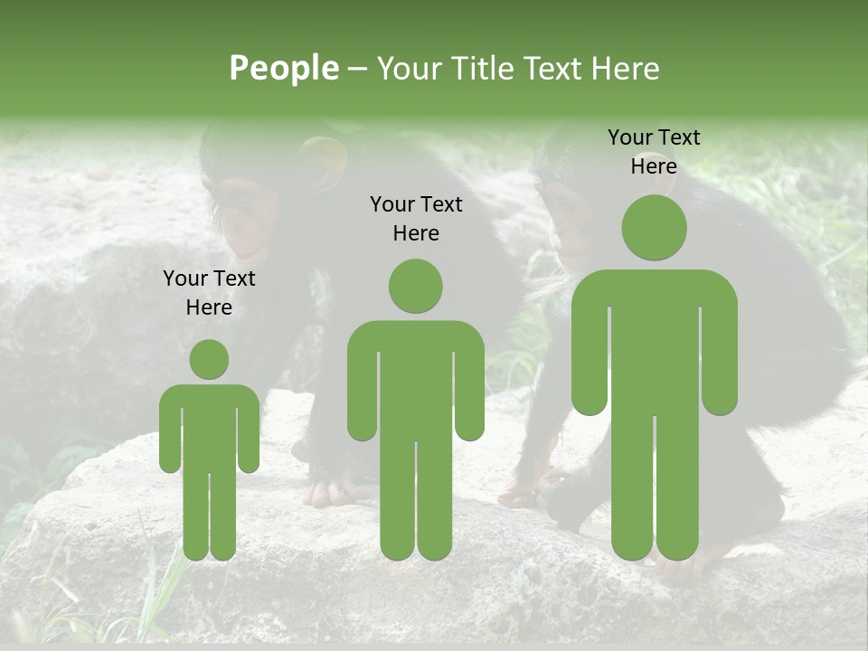 Primate Black Stone PowerPoint Template
