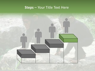 Primate Black Stone PowerPoint Template