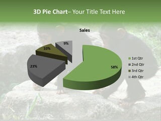 Primate Black Stone PowerPoint Template