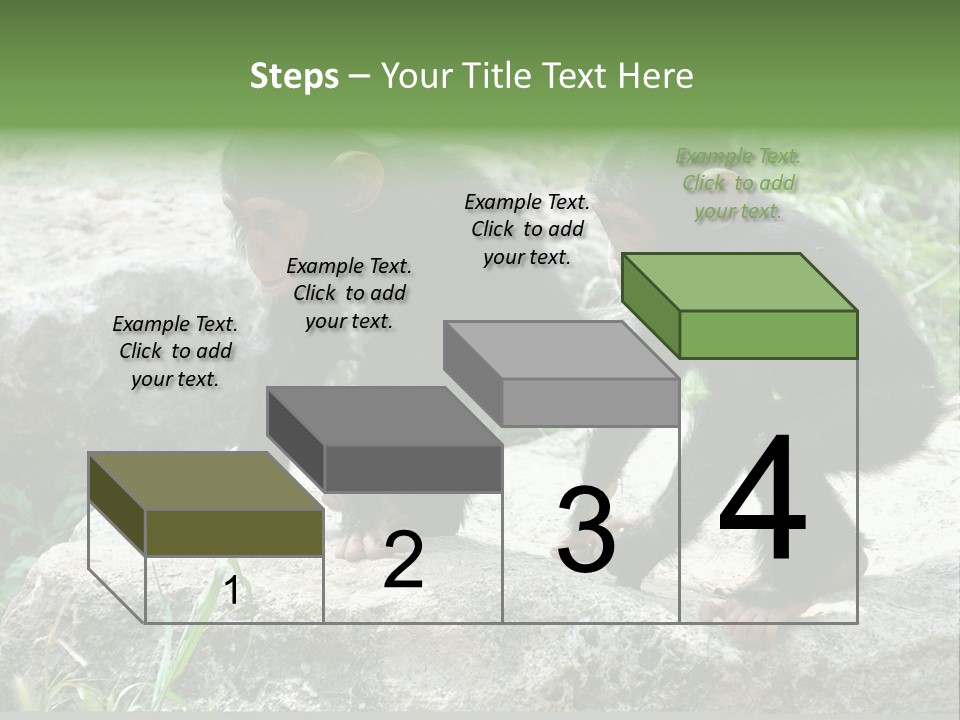 Primate Black Stone PowerPoint Template