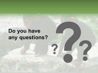 Primate Black Stone PowerPoint Template