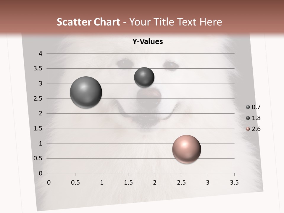 Color Domestic Samoyed PowerPoint Template