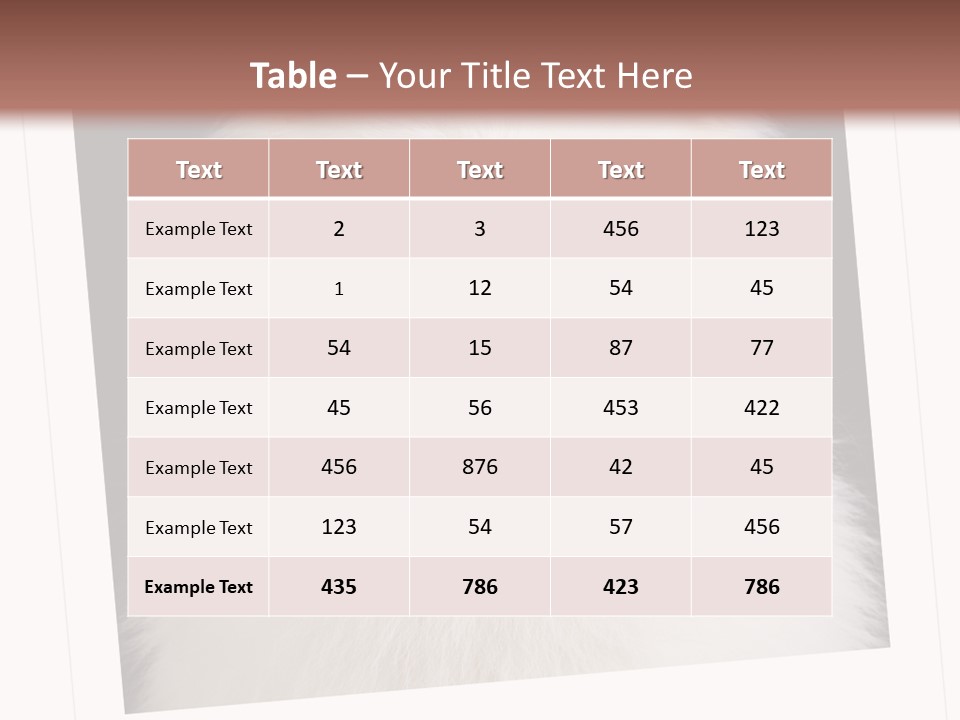 Color Domestic Samoyed PowerPoint Template