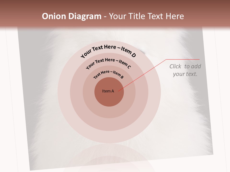 Color Domestic Samoyed PowerPoint Template