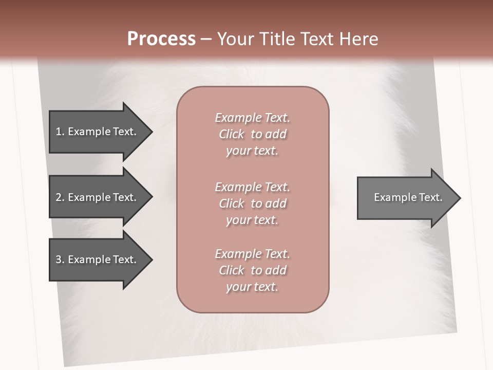 Color Domestic Samoyed PowerPoint Template