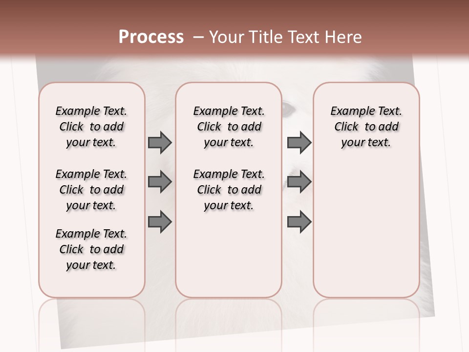 Color Domestic Samoyed PowerPoint Template