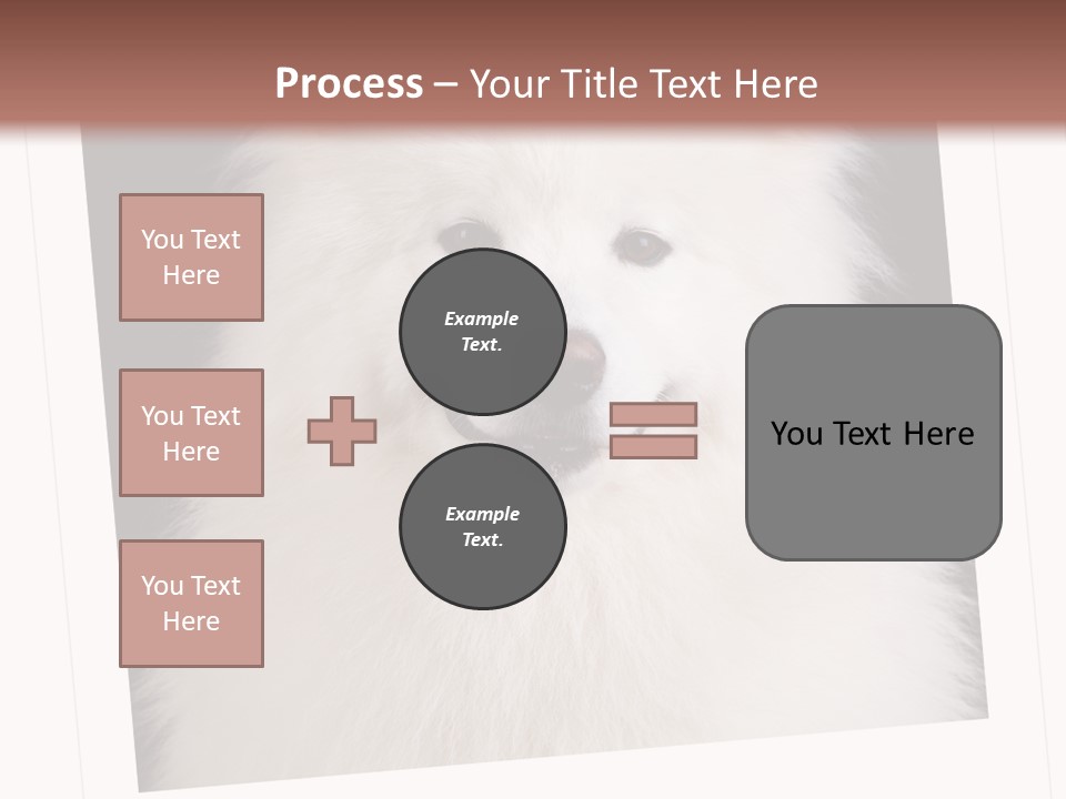 Color Domestic Samoyed PowerPoint Template