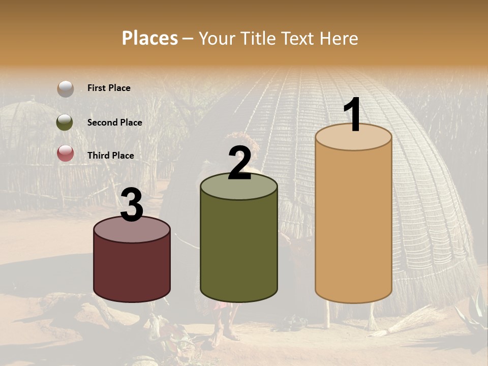 African Architect Leather PowerPoint Template