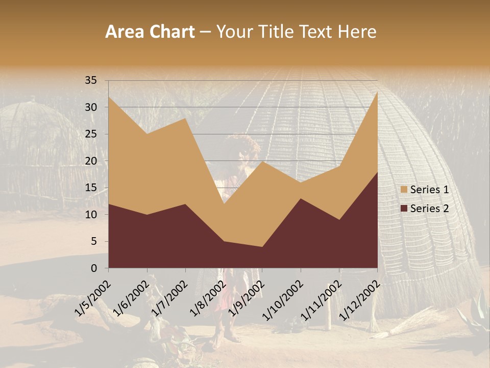 African Architect Leather PowerPoint Template