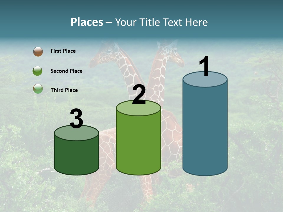 Two Giraffes Standing In The Middle Of A Forest PowerPoint Template