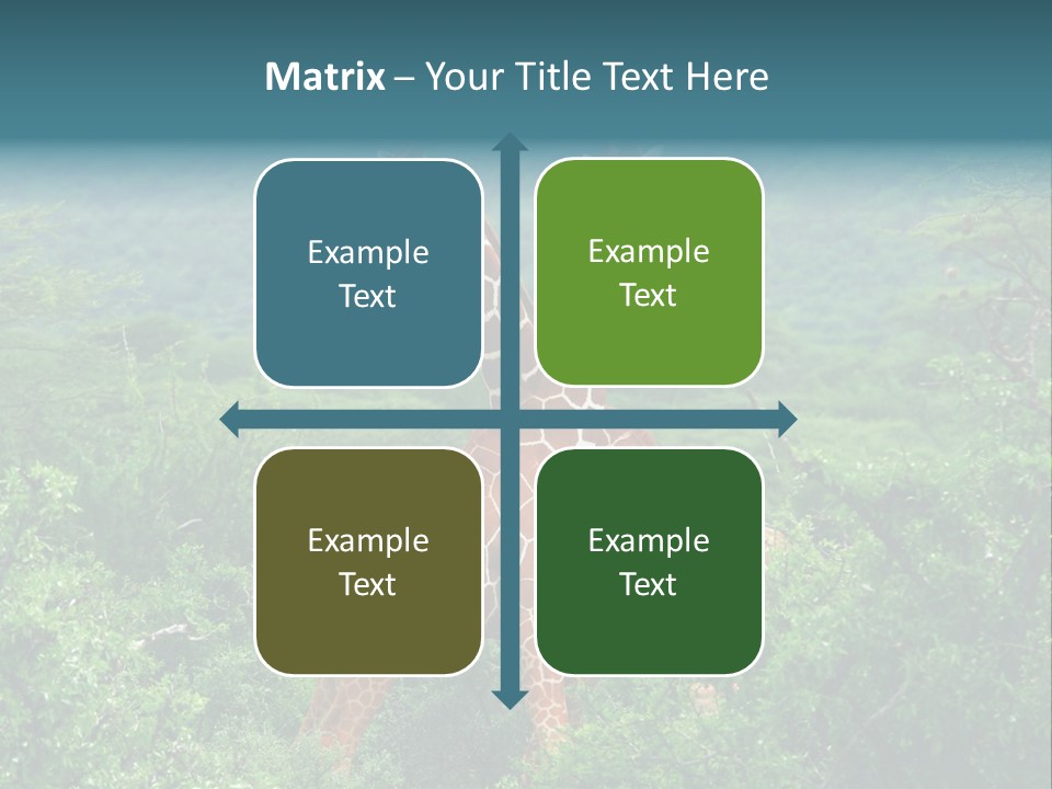 Two Giraffes Standing In The Middle Of A Forest PowerPoint Template