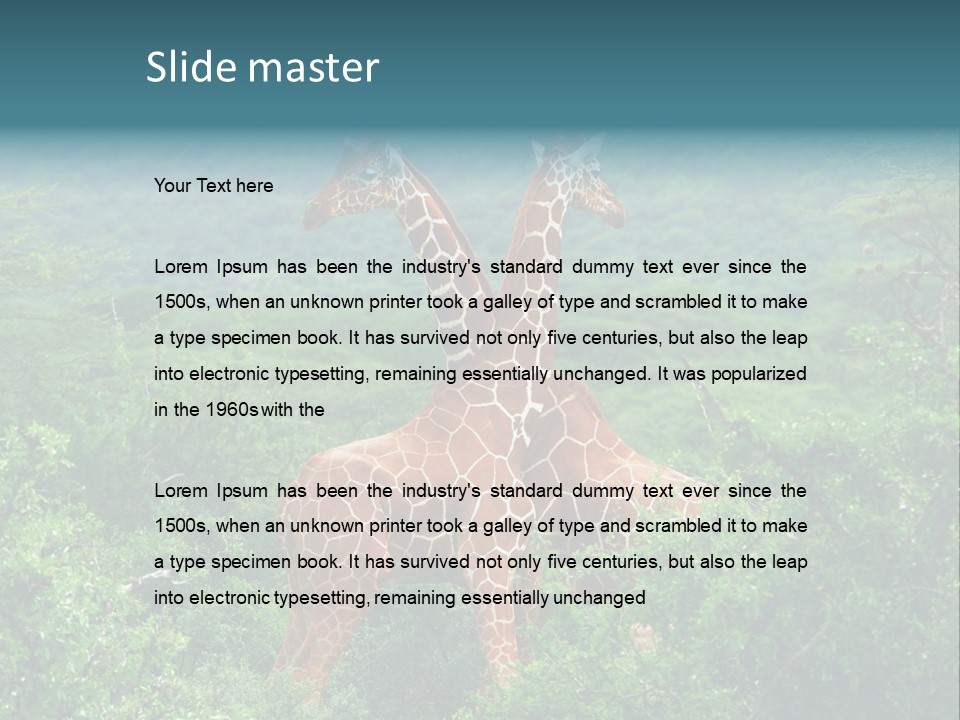 Two Giraffes Standing In The Middle Of A Forest PowerPoint Template