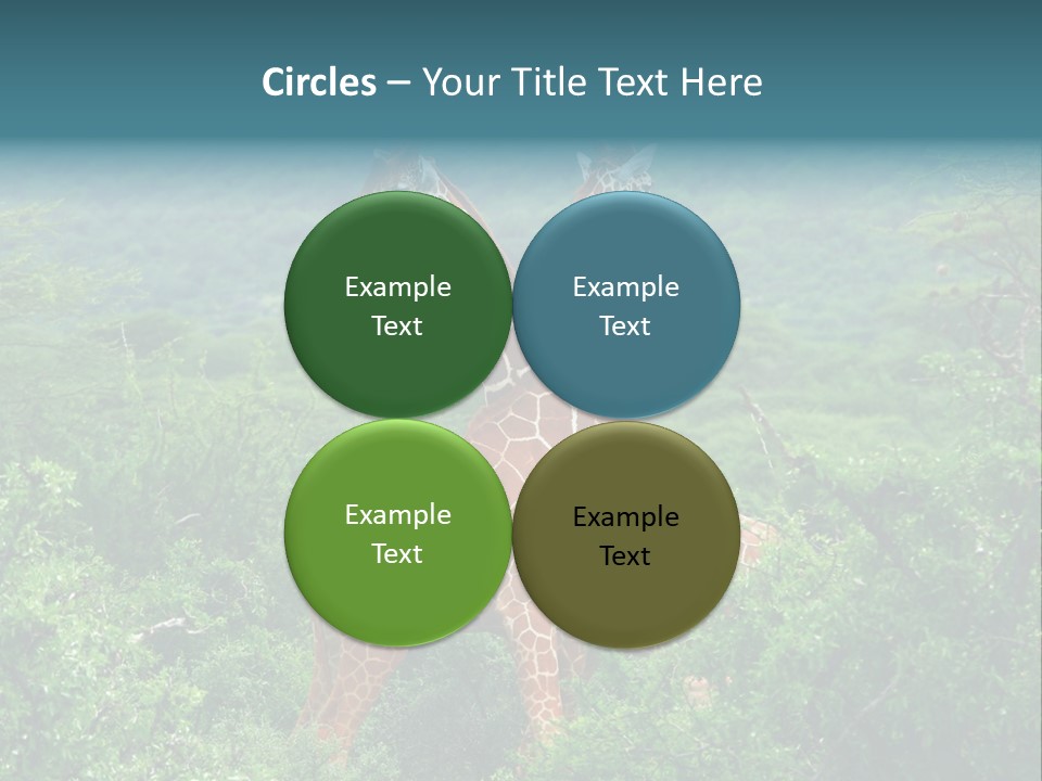 Two Giraffes Standing In The Middle Of A Forest PowerPoint Template